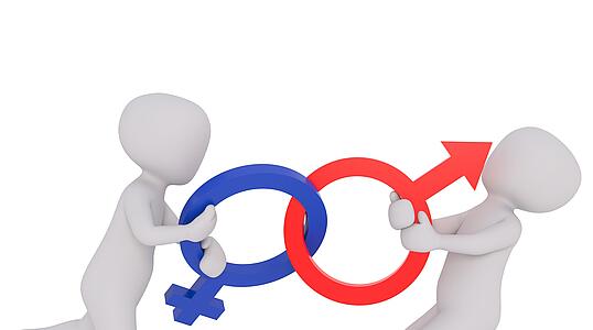 Männer halten sich für qualifizierter als gleich kompetente Frauen